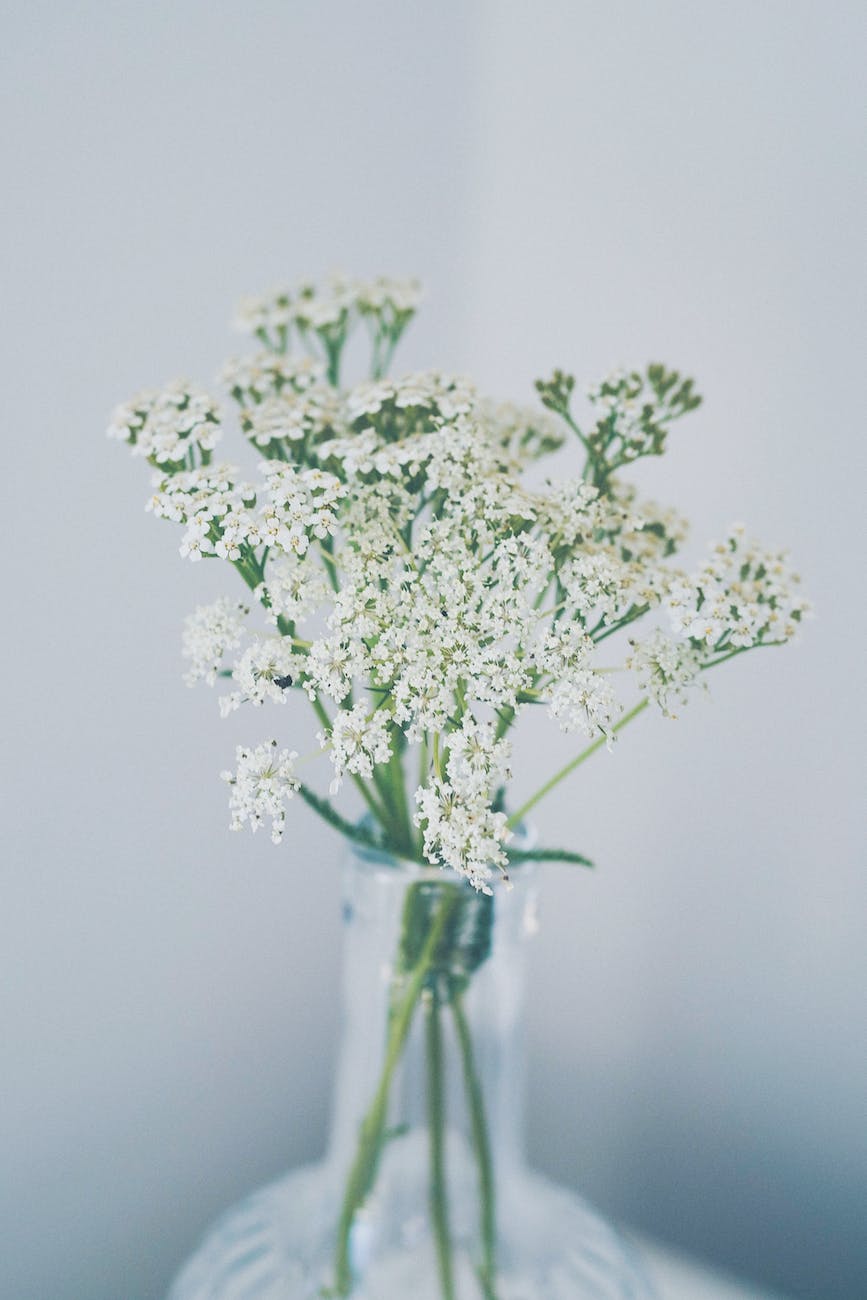 bouquet of small white flowers in a glass vase
