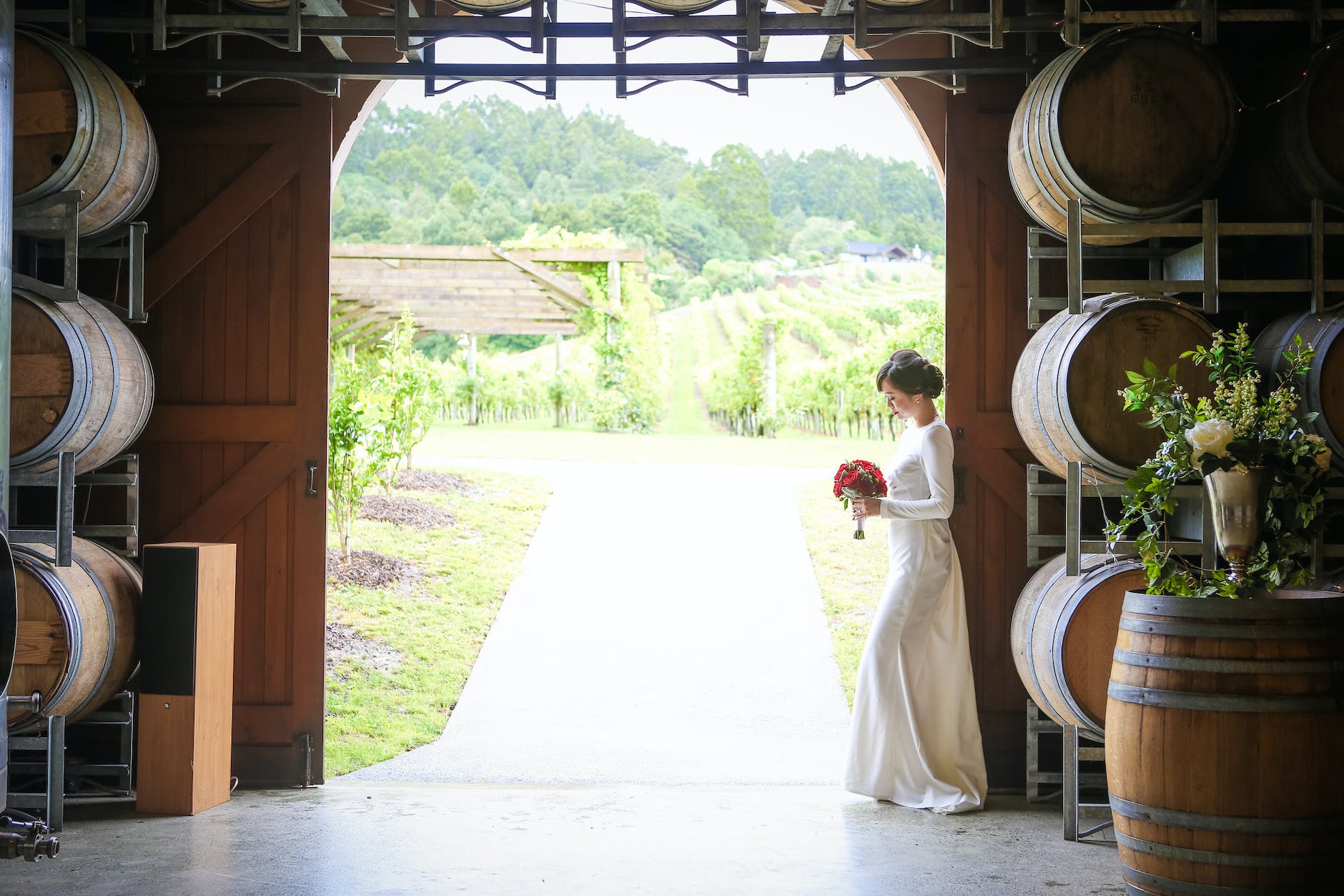 bride with bouquet near winery with barrels and field with various grapes